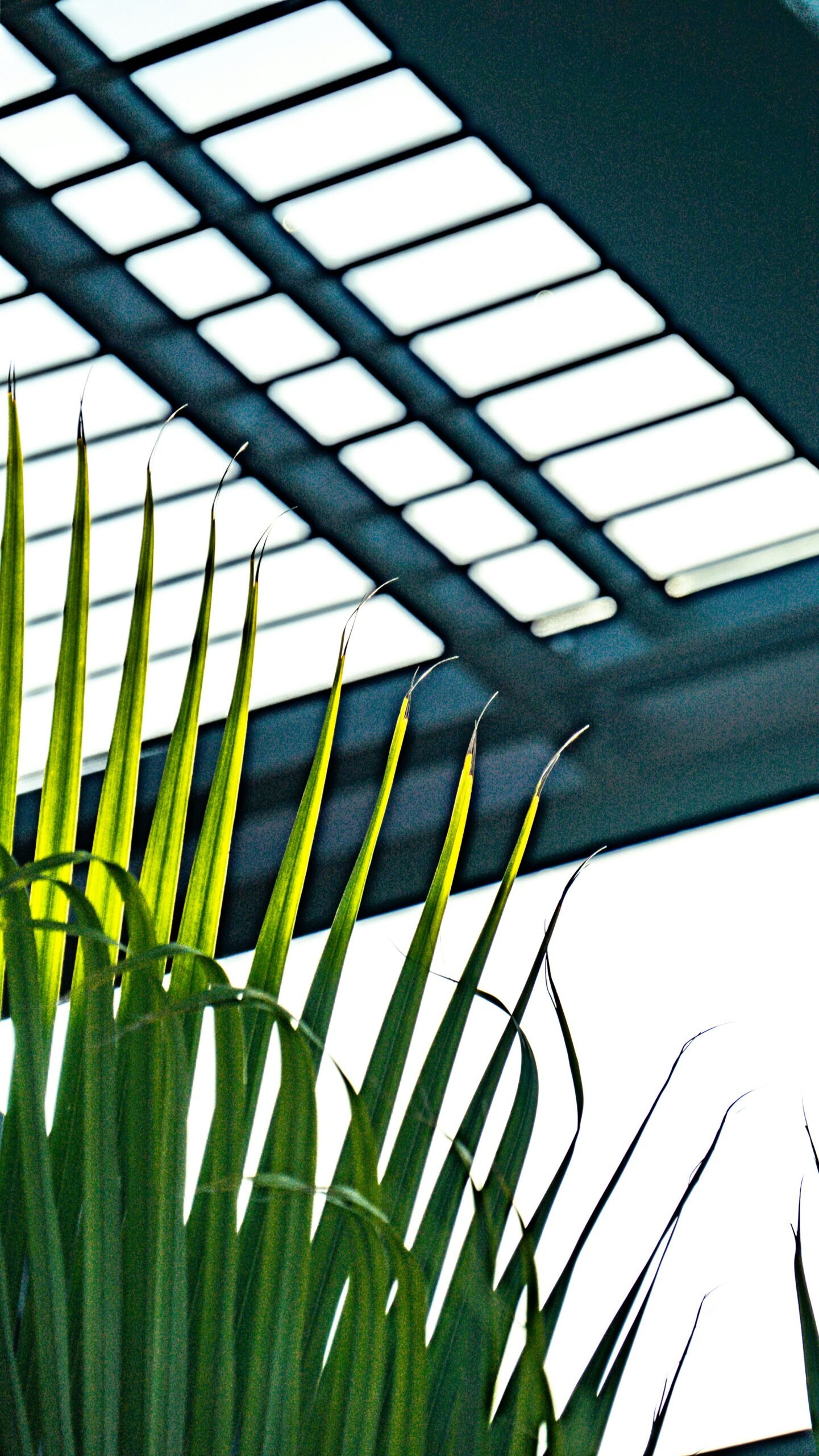 Pérgola Essential
